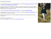 Tablet Screenshot of andreas-borchert.de